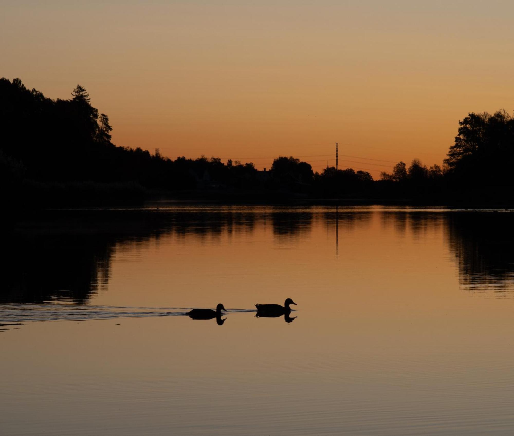 Stenkullens Gardshus Borensberg Bagian luar foto